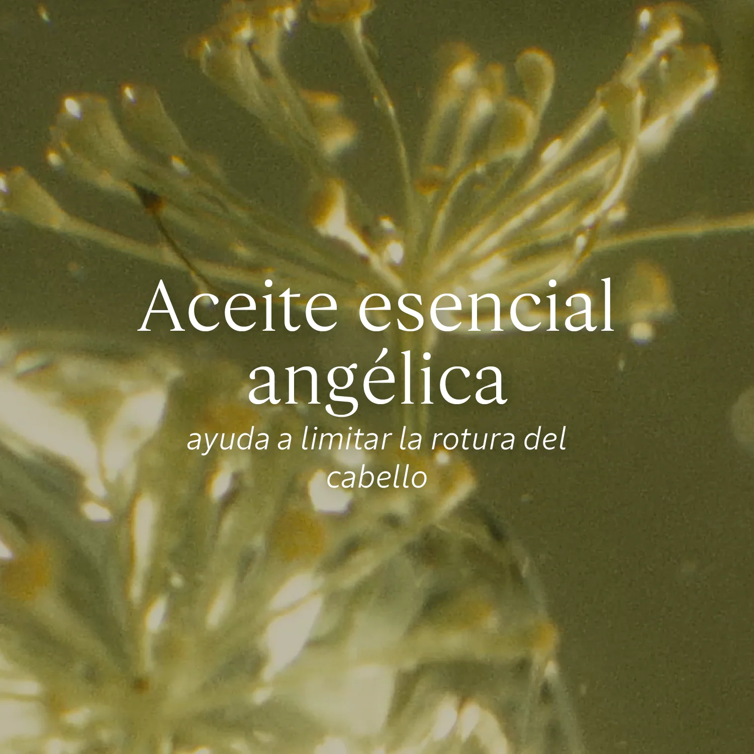 Aceite Infusionado Reparador Intensivo 100ml - Image 4