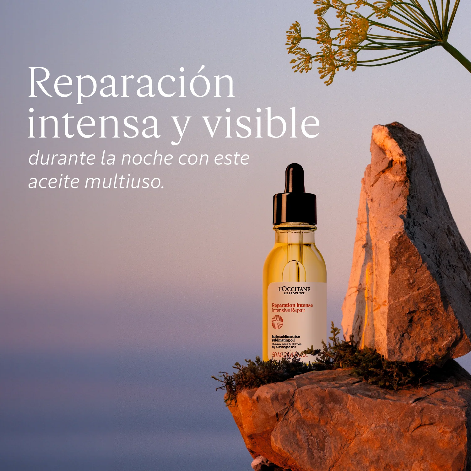Aceite Infusionado Reparador Intensivo 50ml - Image 3
