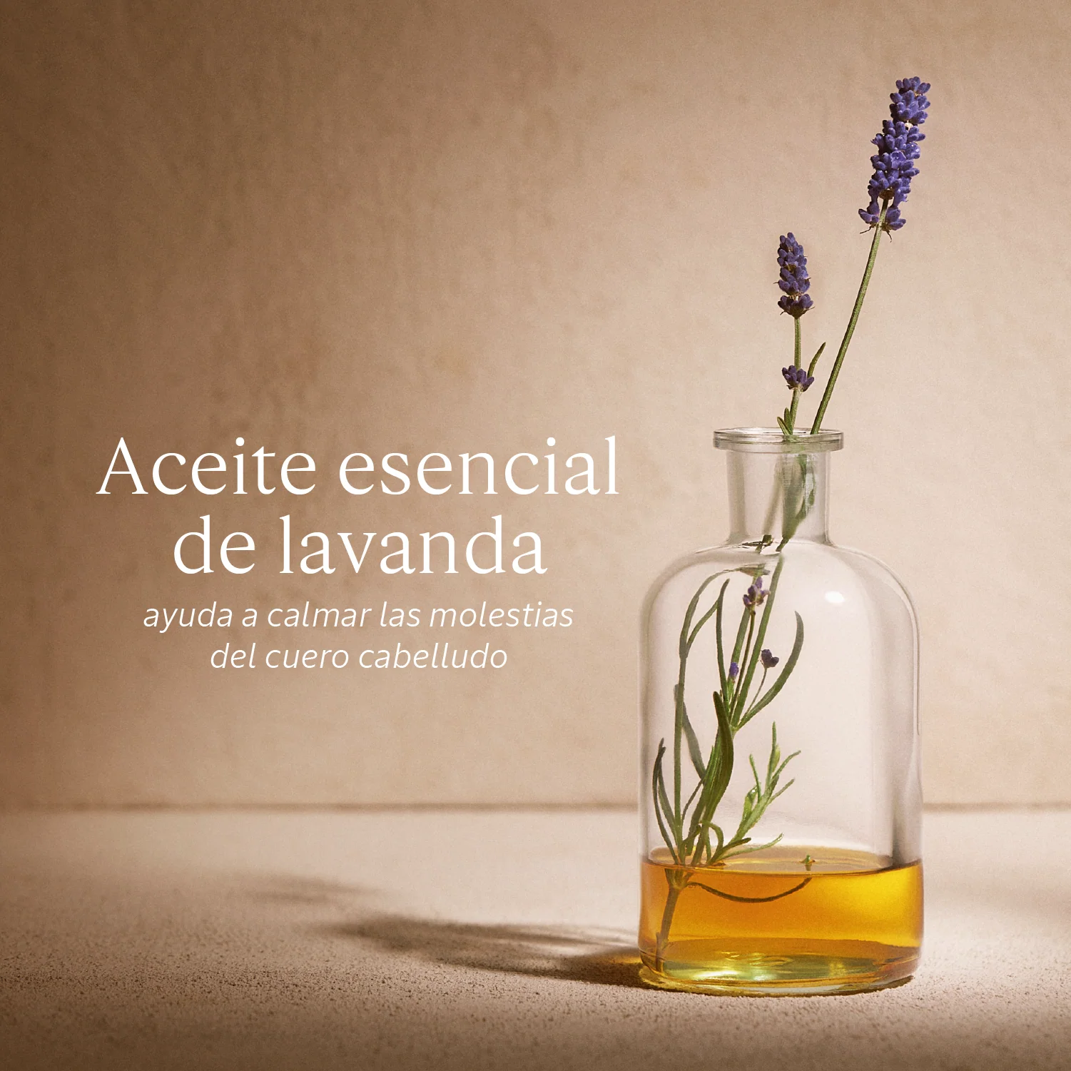 Acondicionador Equilibrio y Suavidad 75ml - Image 6
