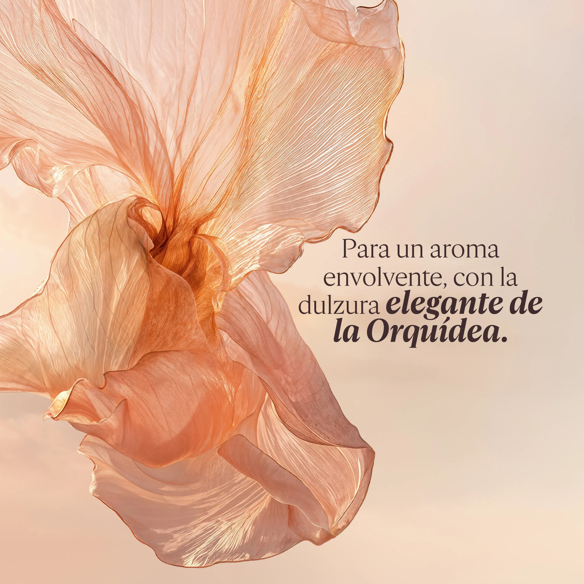 Crema para Manos Néroli Orchidée (Antes Nerolí Orquídea) 30ml - Image 4