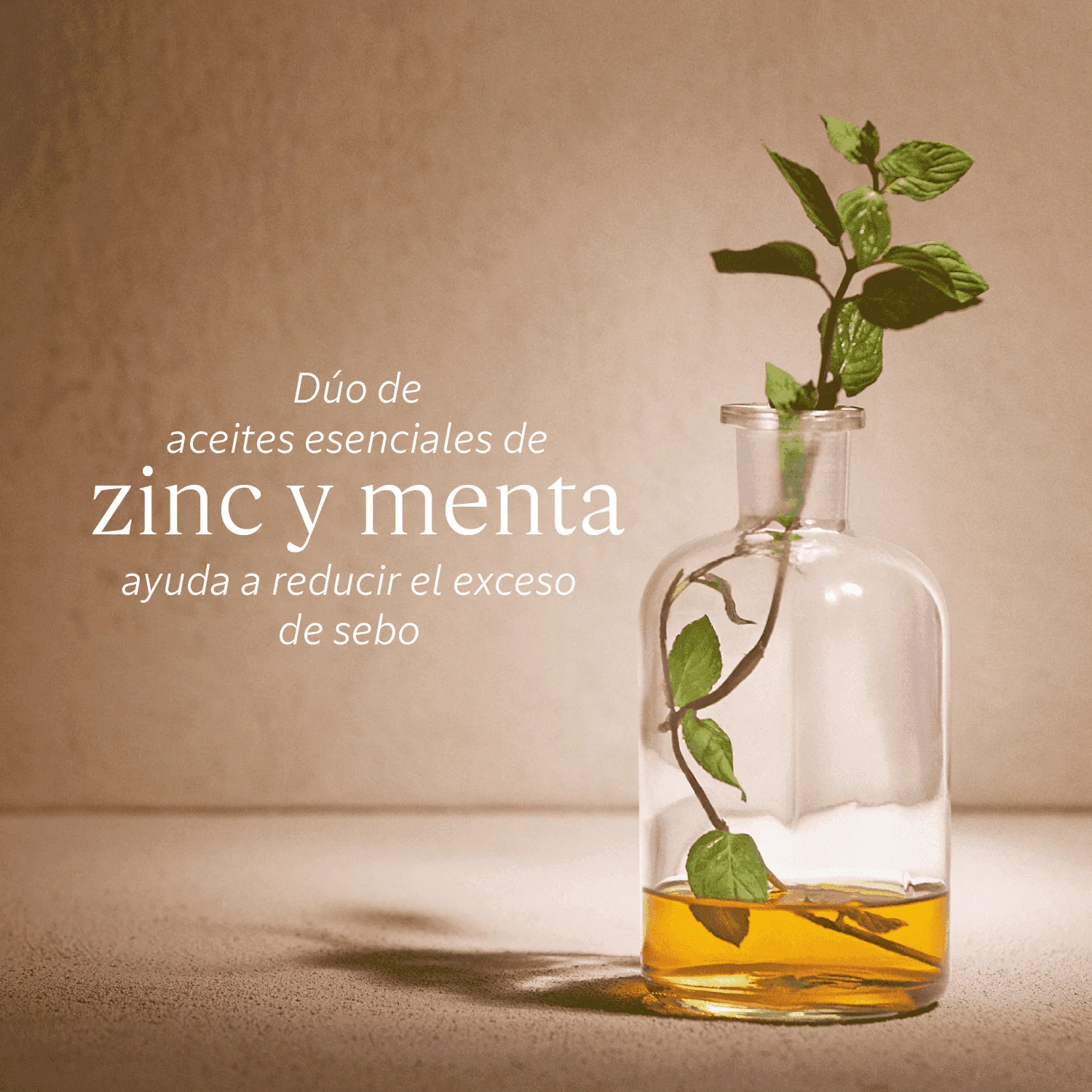 Eco Refill Acondicionador Purificante 500ml - Image 3