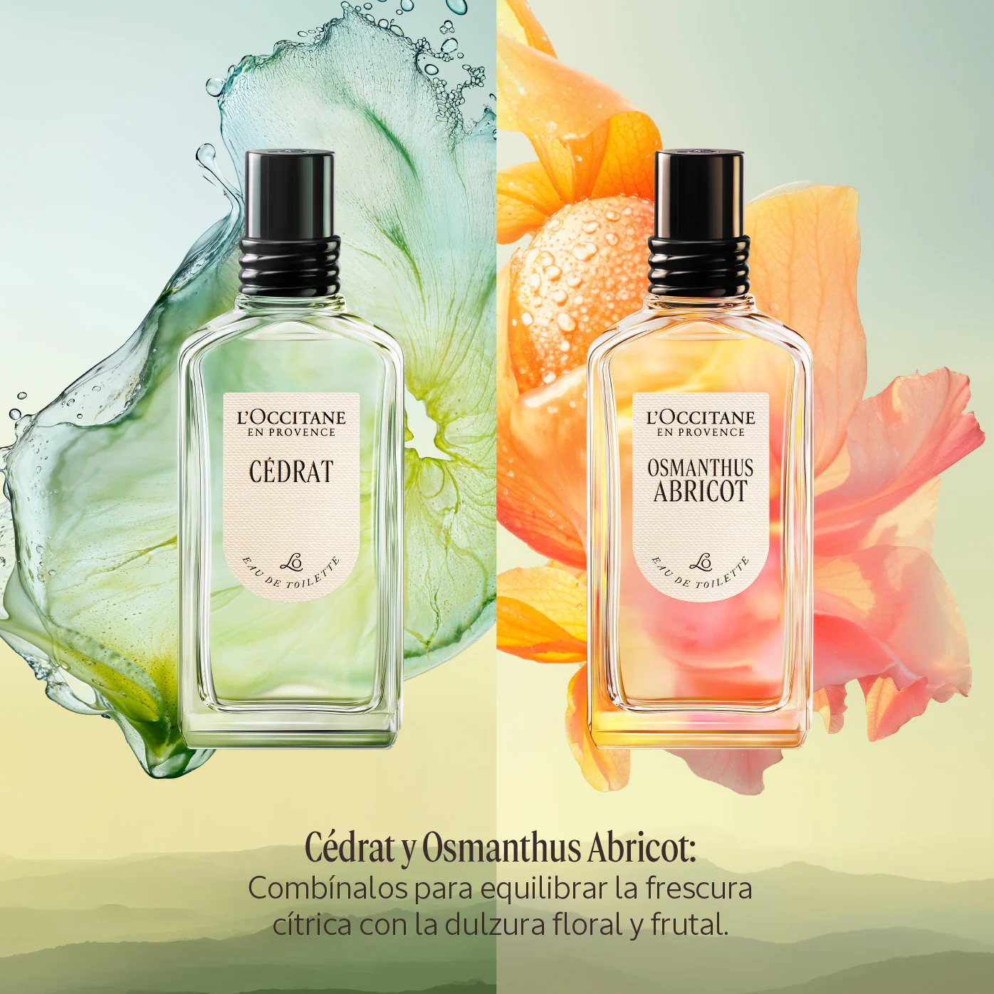 Perfume Cédrat Eau de Toilette 50ml - Image 7
