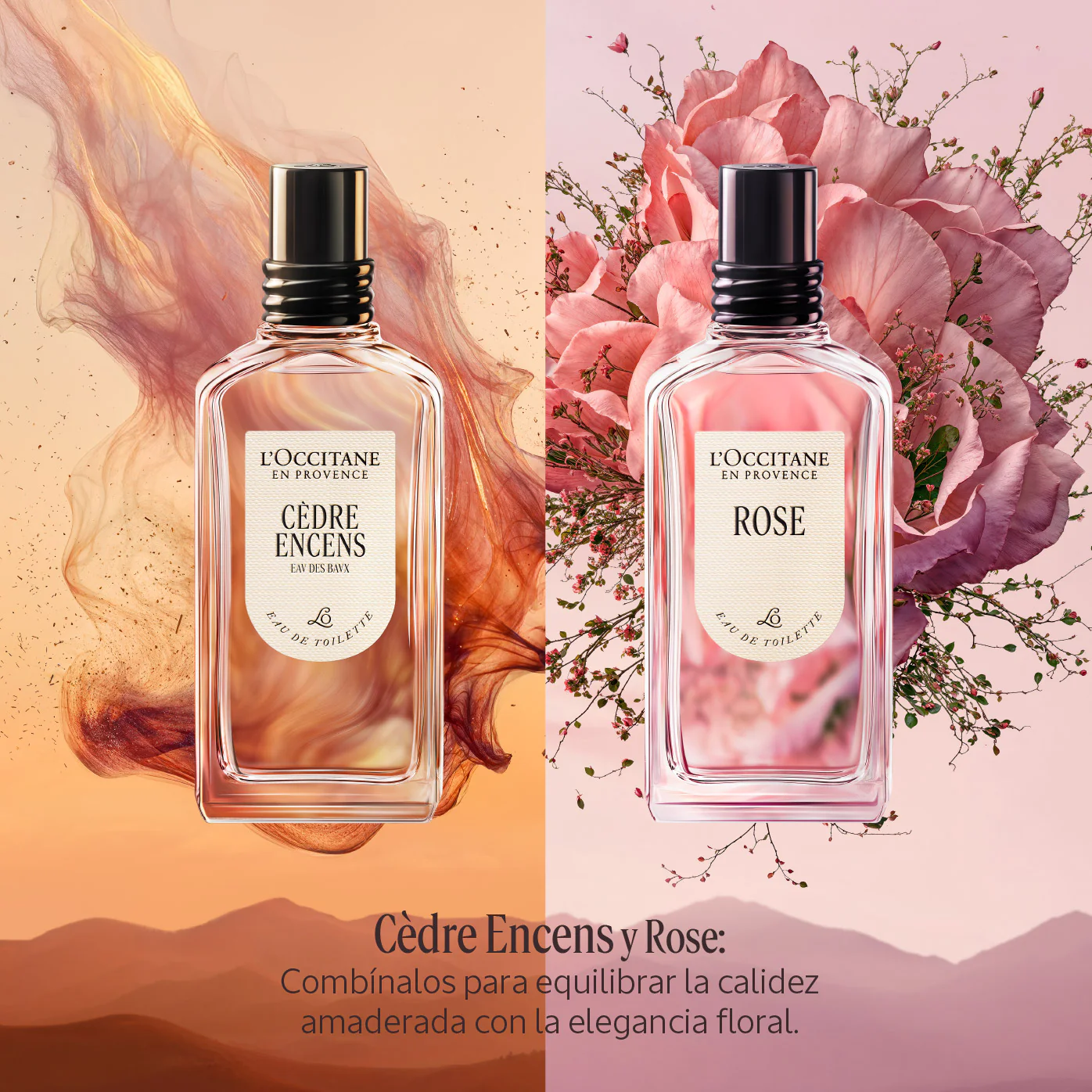 Perfume Cèdre Encens (Antes Eau des Baux) Eau de Toilette 50ml - Image 7