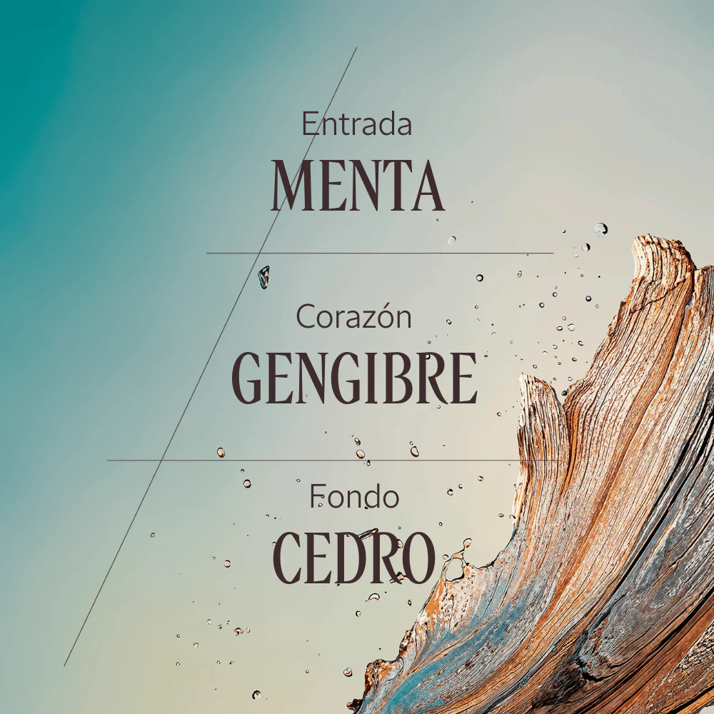 Perfume Cèdre Gingembre (Antes Cap Cédrat) Eau de Toilette 50ml - Image 6
