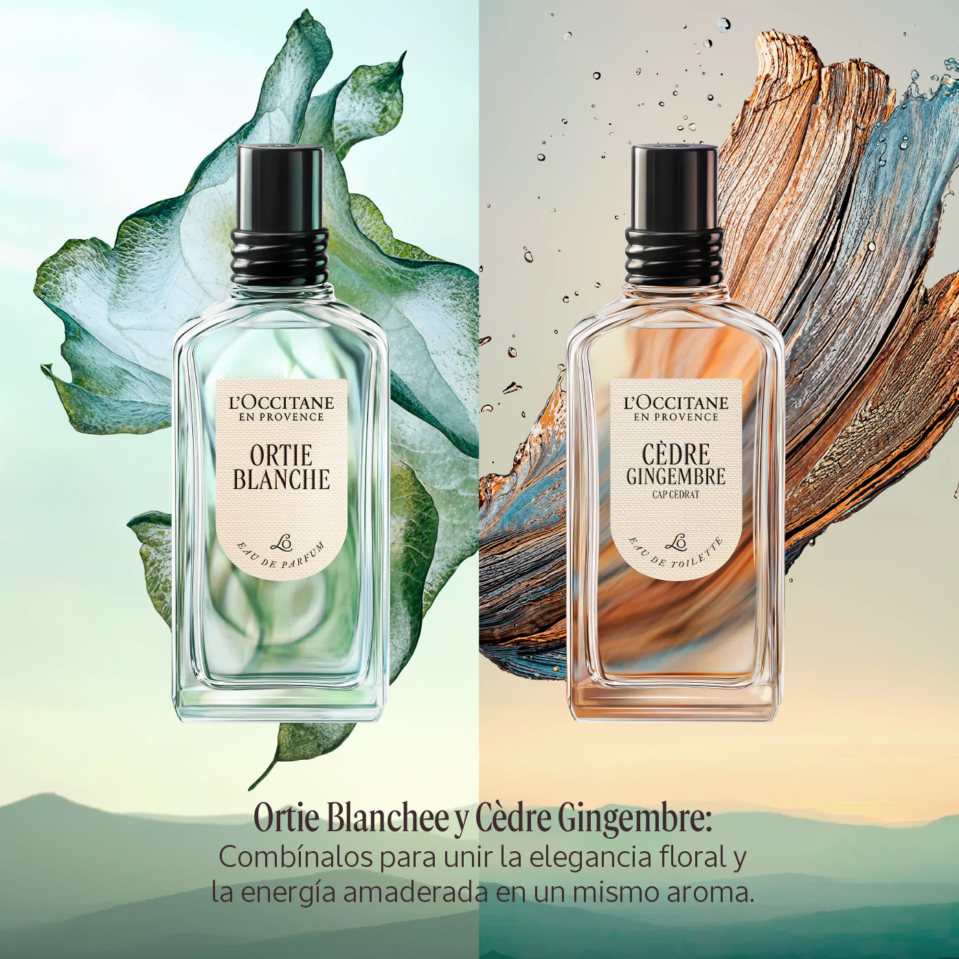 Perfume Cèdre Gingembre (Antes Cap Cédrat) Eau de Toilette 50ml - Image 7