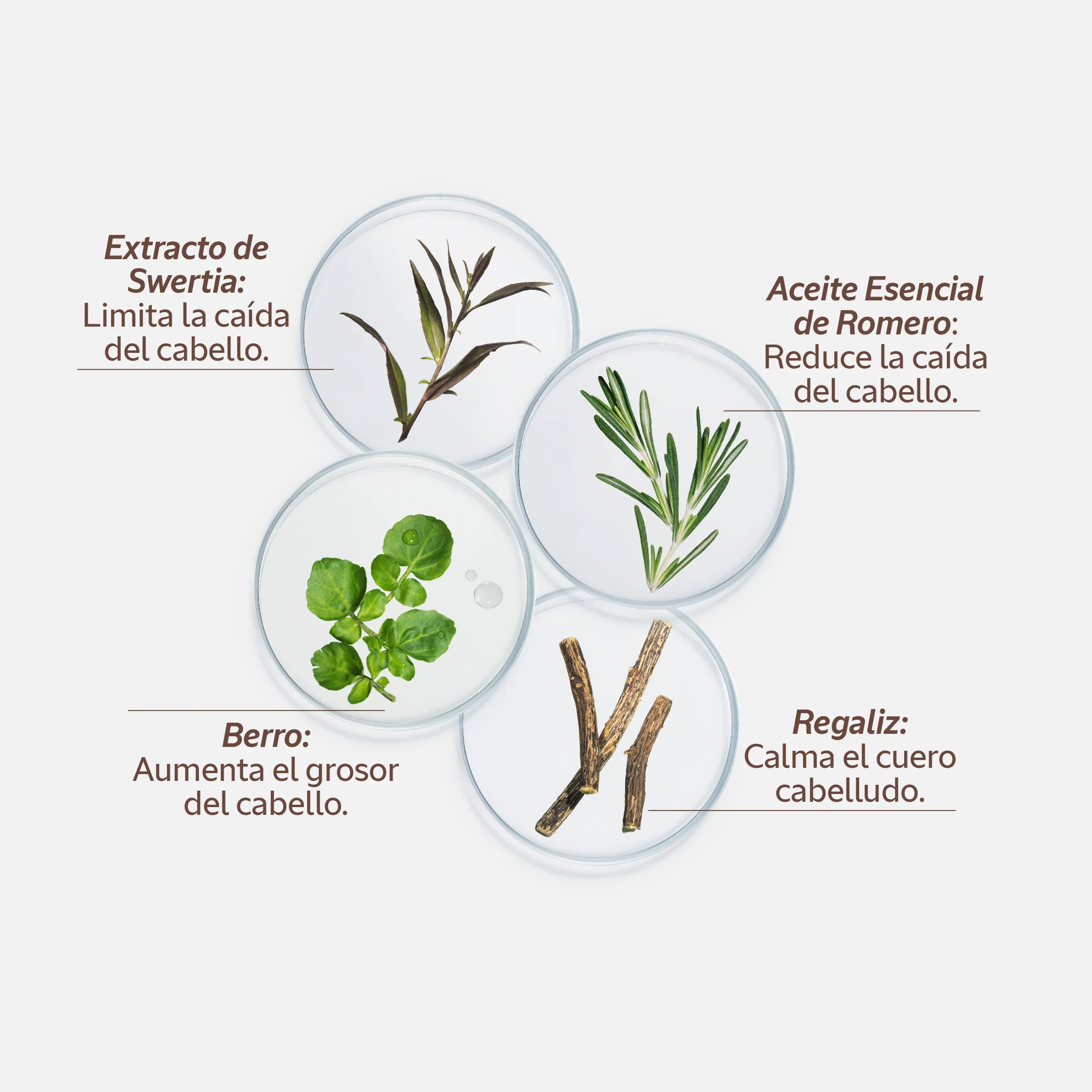 Sérum Capilar Anticaída 50ml - Image 10