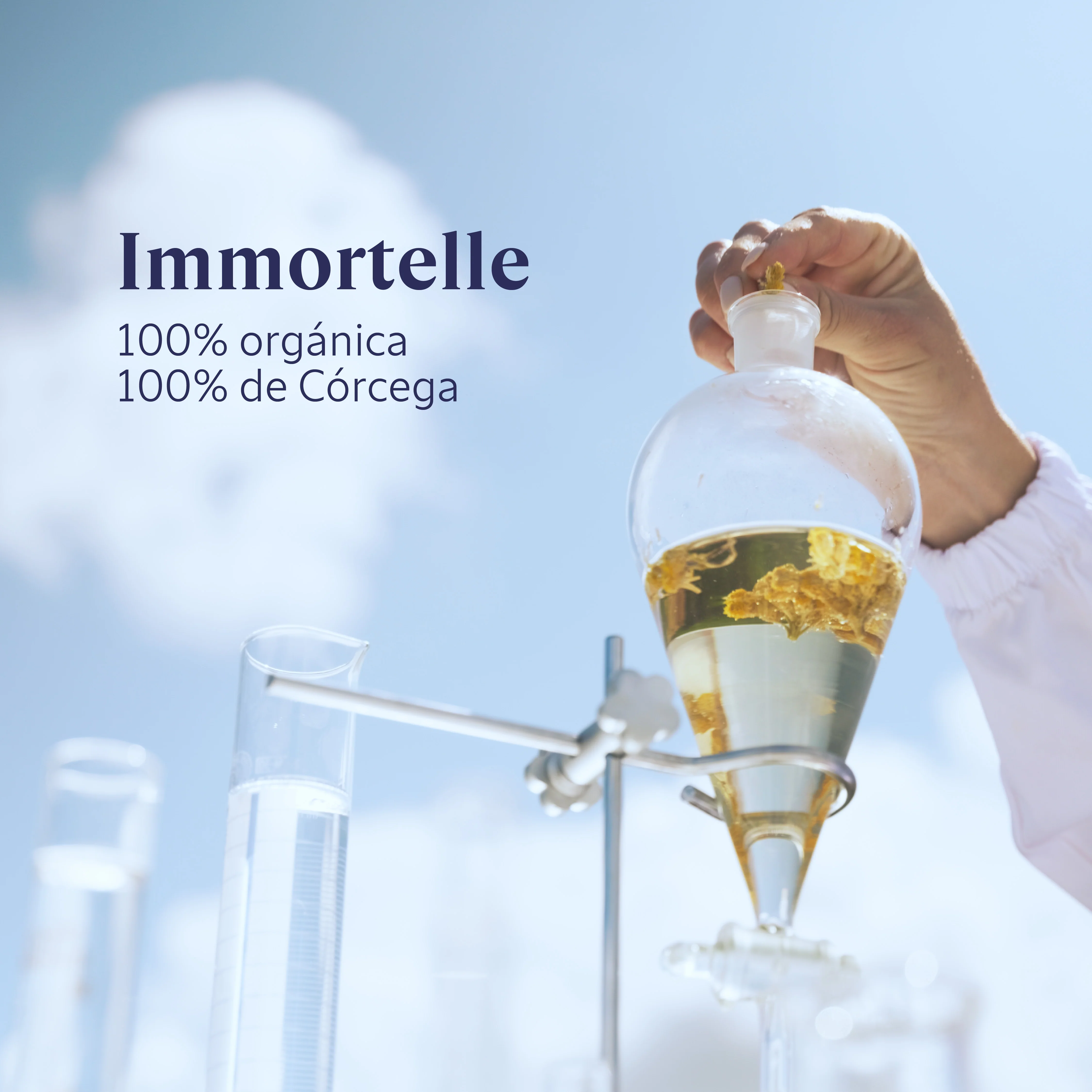 Sérum Facial Immortelle Reset 30ml - Image 7