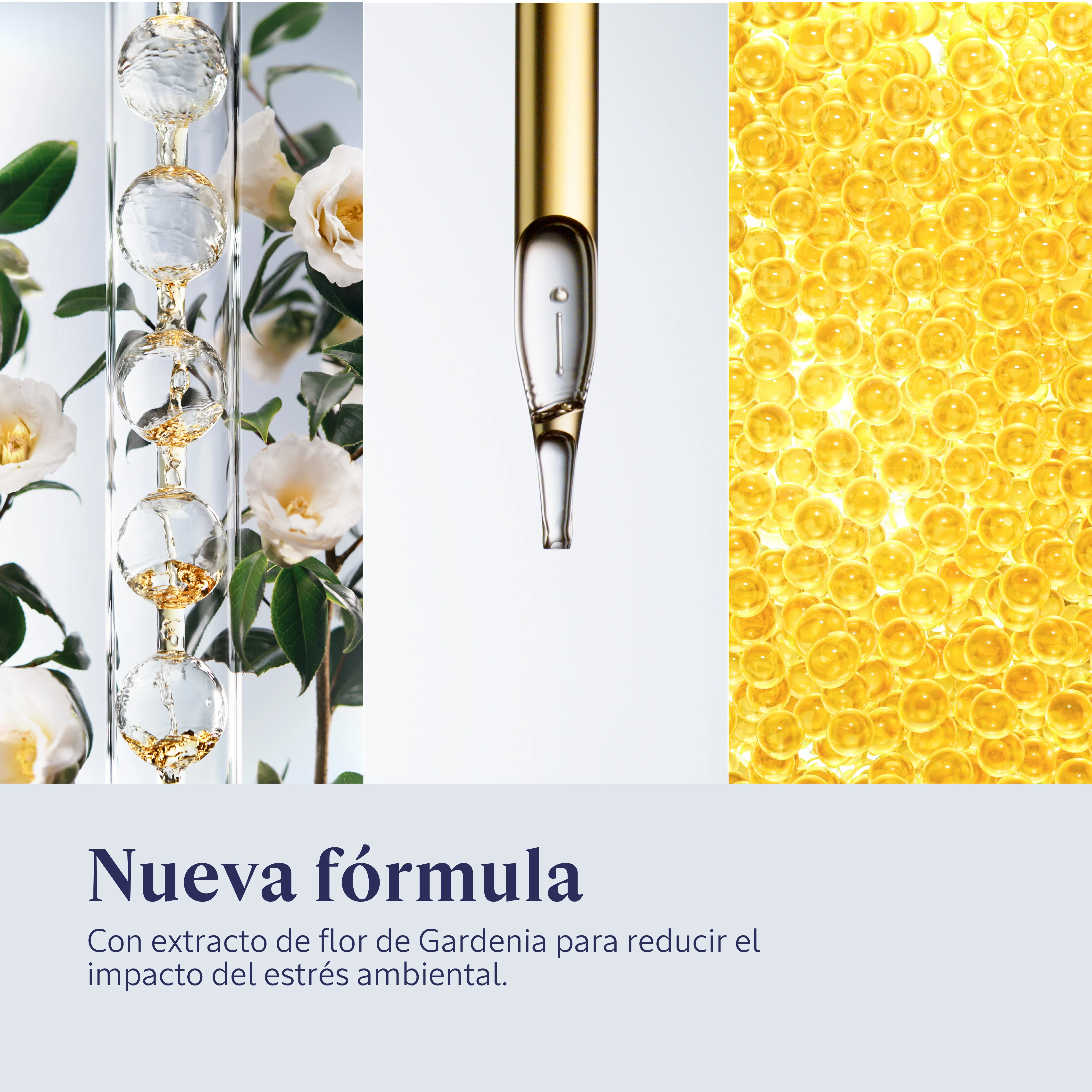 Sérum Facial Immortelle Reset 50ml - Image 3