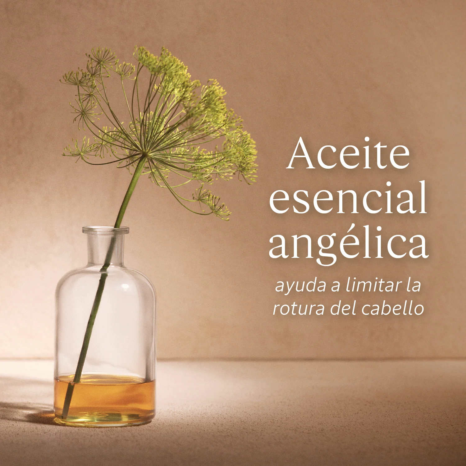 Shampoo Reparador Intensivo 75ml - Image 4