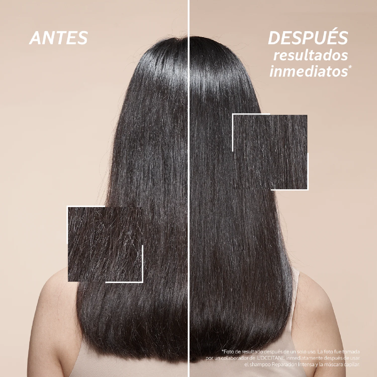 Shampoo Reparador Intensivo 75ml - Image 5